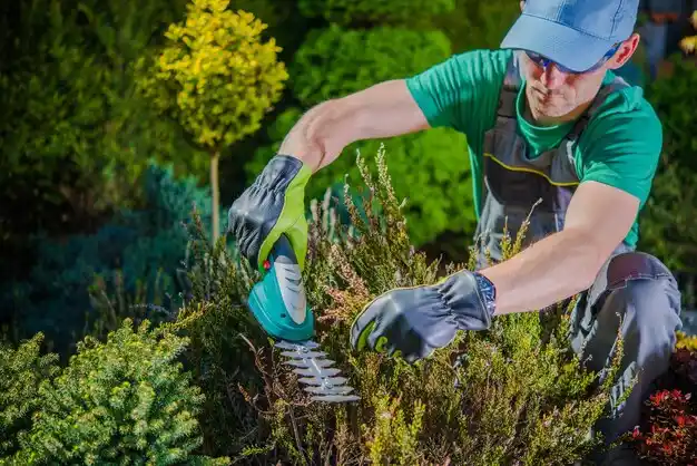 landscaping services Davison